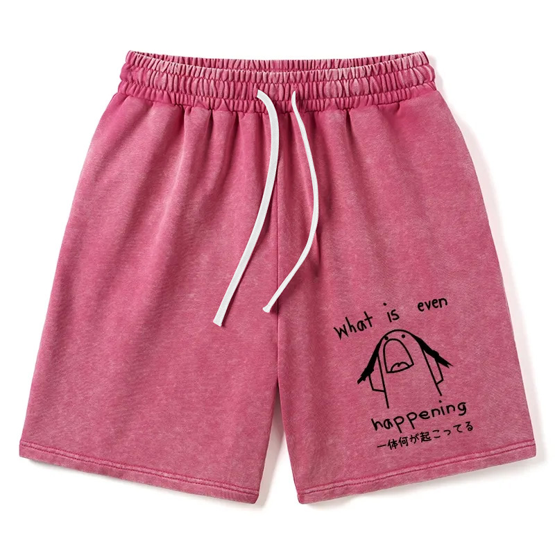 Modecanvas What Is Even Happening Washed Shorts