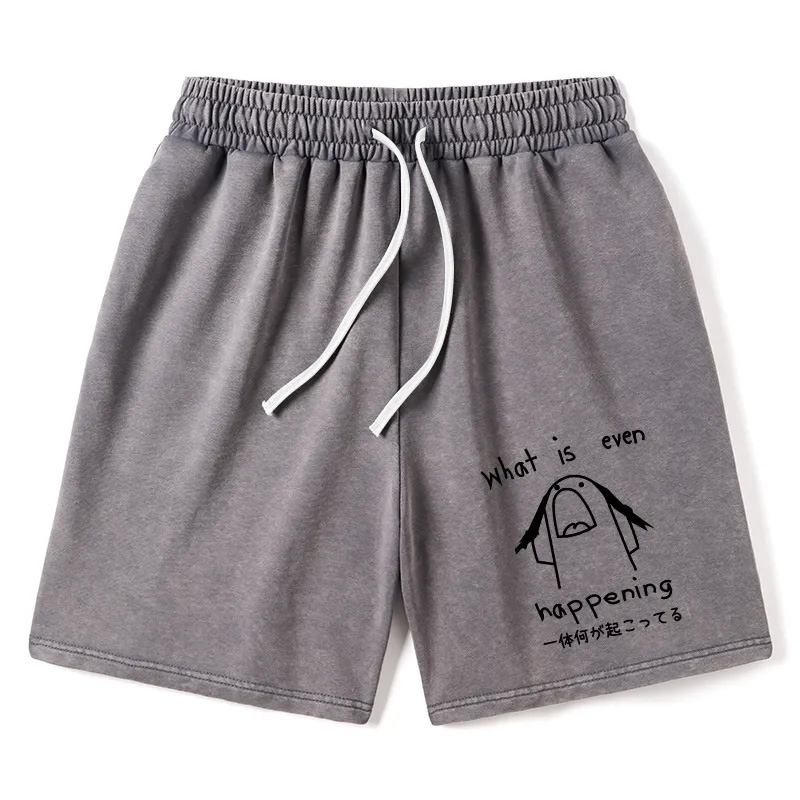 Modecanvas What Is Even Happening Washed Shorts