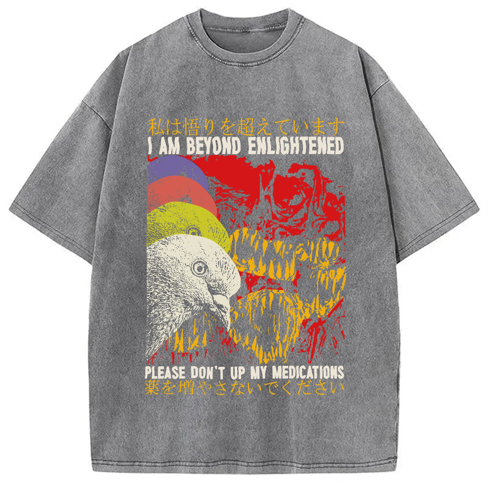 Modecanvas Beyond Enlightened Vintage Pigeon Washed T-Shirt