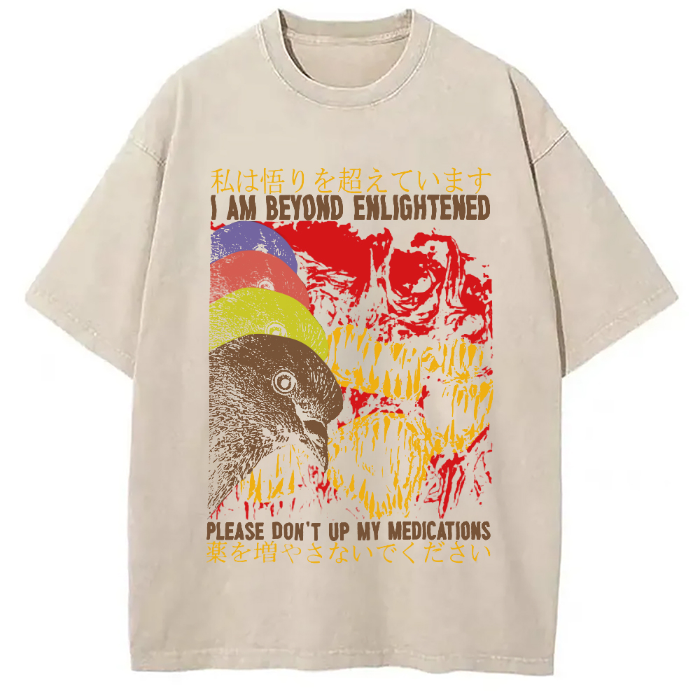 Modecanvas Beyond Enlightened Vintage Pigeon Washed T-Shirt