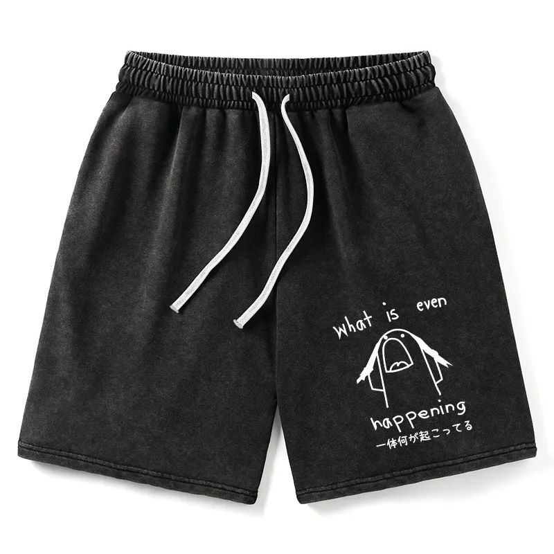 Modecanvas What Is Even Happening Washed Shorts