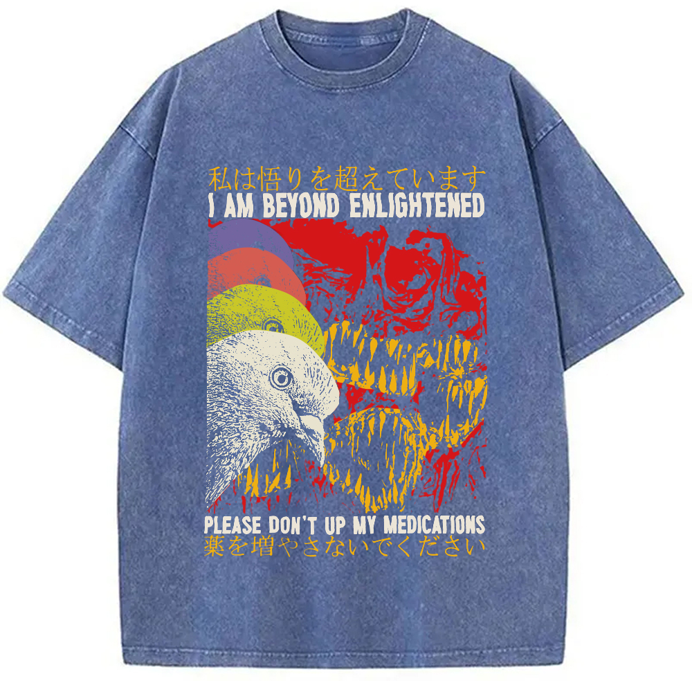 Modecanvas Beyond Enlightened Vintage Pigeon Washed T-Shirt
