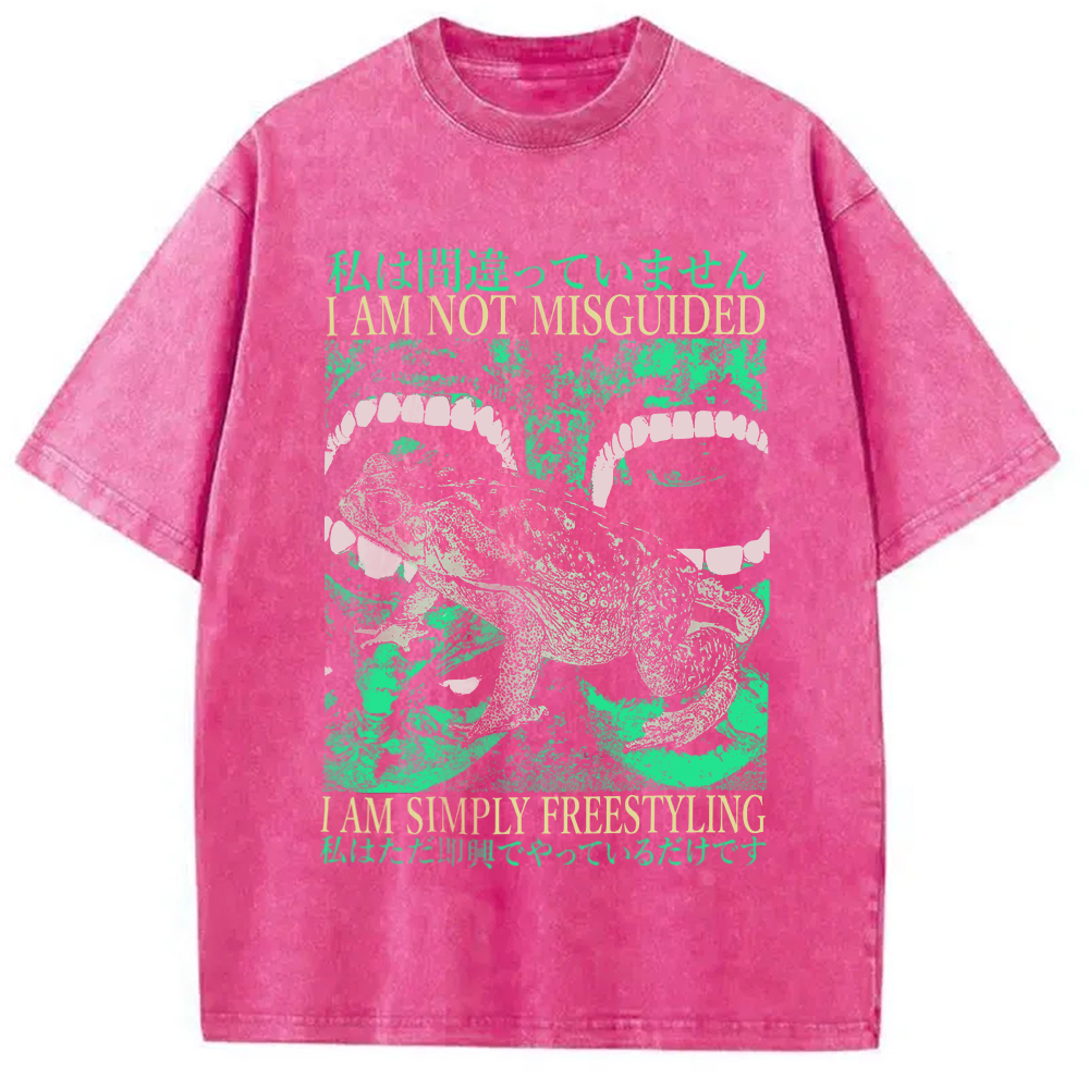 Modecanvas I Am Not Misguided Vintage Japanese Frog  Washed T-Shirt