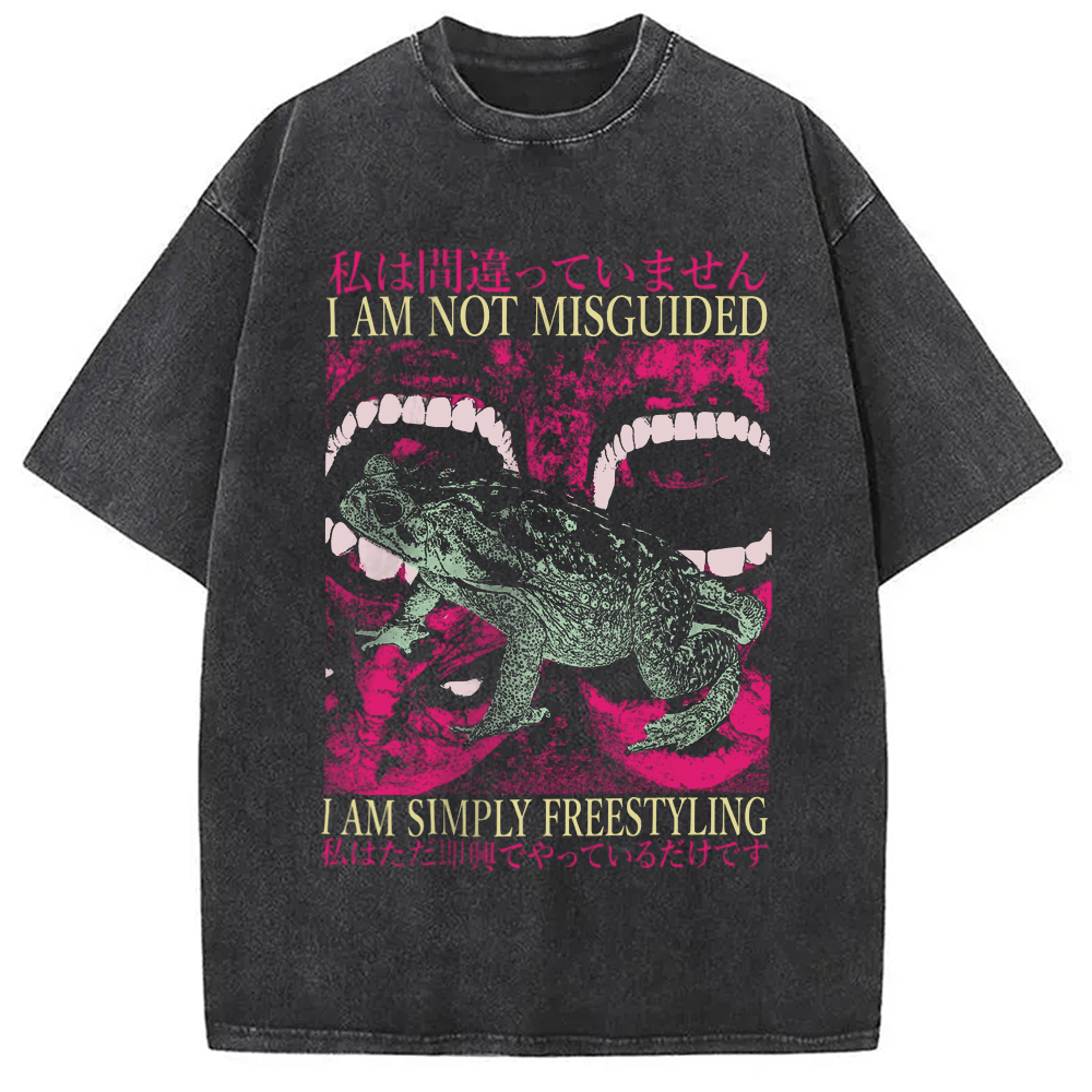 Modecanvas I Am Not Misguided Vintage Japanese Frog  Washed T-Shirt