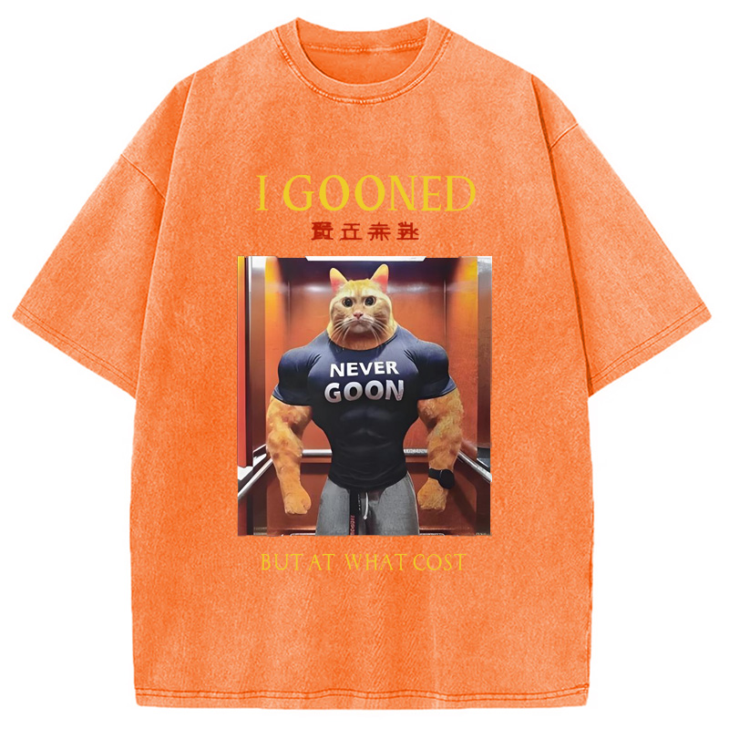 Modecanvas I Gooned but at What Cost Funny Washed T-Shirt