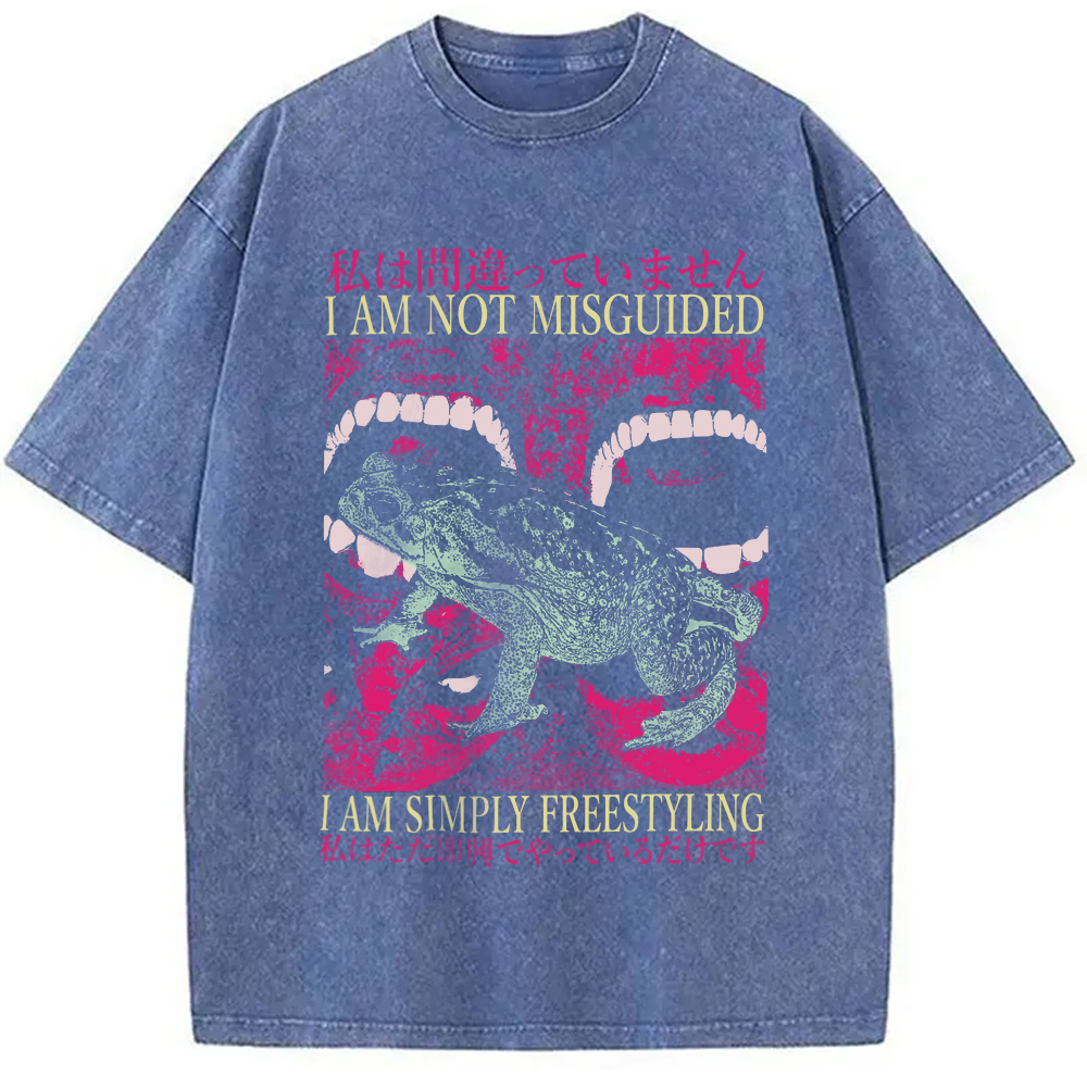 Modecanvas I Am Not Misguided Vintage Japanese Frog  Washed T-Shirt