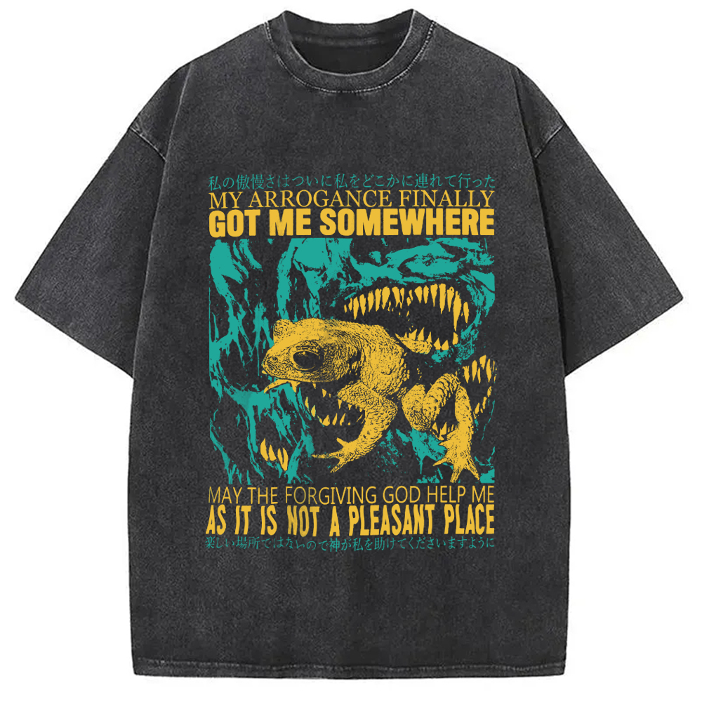 Modecanvas My Arrogance Vintage Japanese Frog Washed T-Shirt
