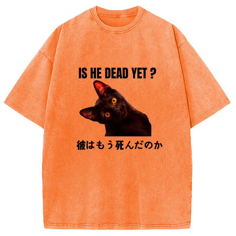 Modecanvas Is He Dead Yet Washed T-Shirt