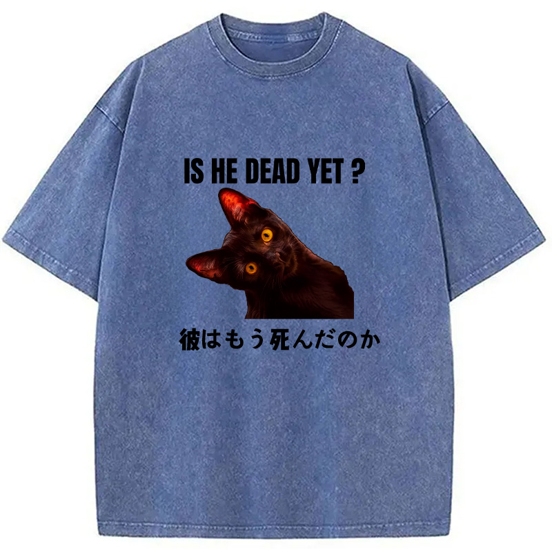 Modecanvas Is He Dead Yet Washed T-Shirt