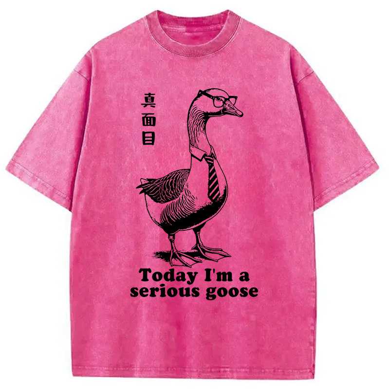 Modecanvas Serious Goose Washed T-Shirt