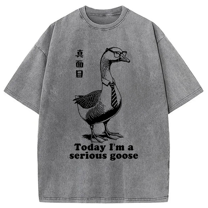 Modecanvas Serious Goose Washed T-Shirt
