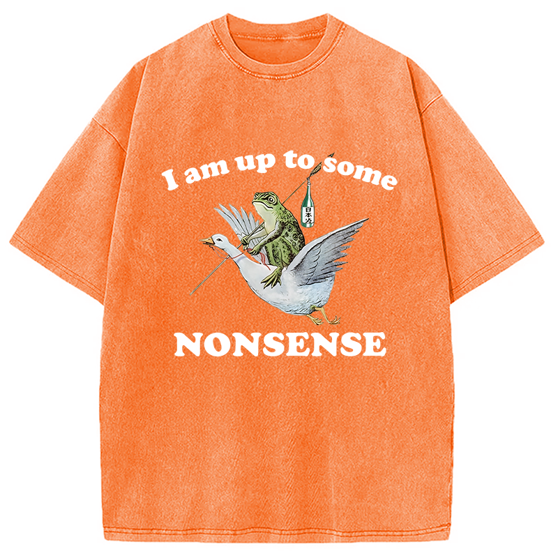 Modecanvas Frog Riding A Goose Washed T-Shirt