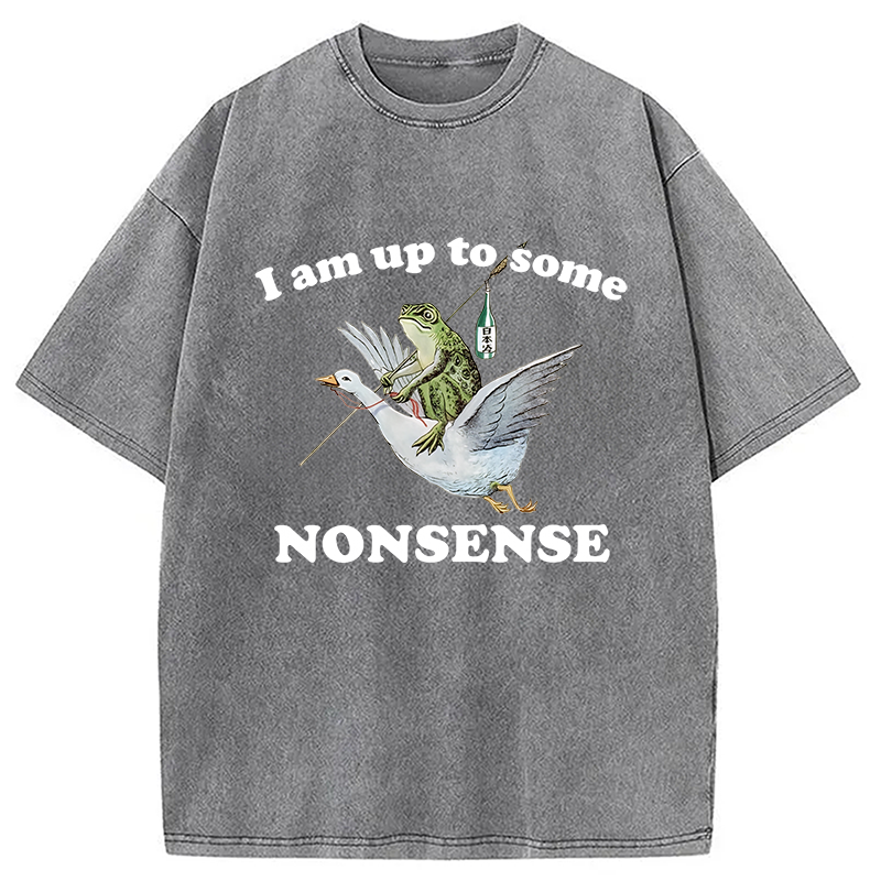 Modecanvas Frog Riding A Goose Washed T-Shirt