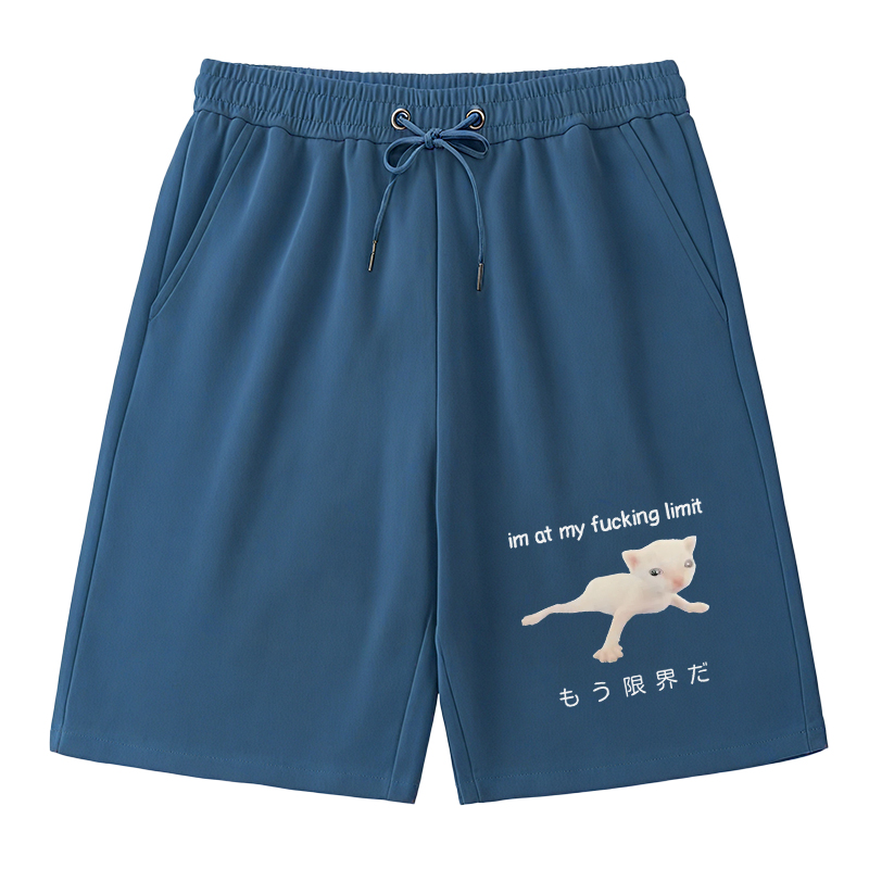 Modecanvas Cat Reaching Its Limit Classic Short
