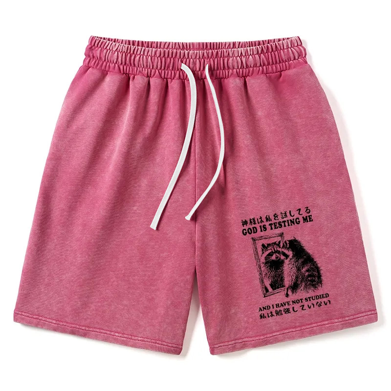Modecanvas Raccoon Not Studied Washed Shorts