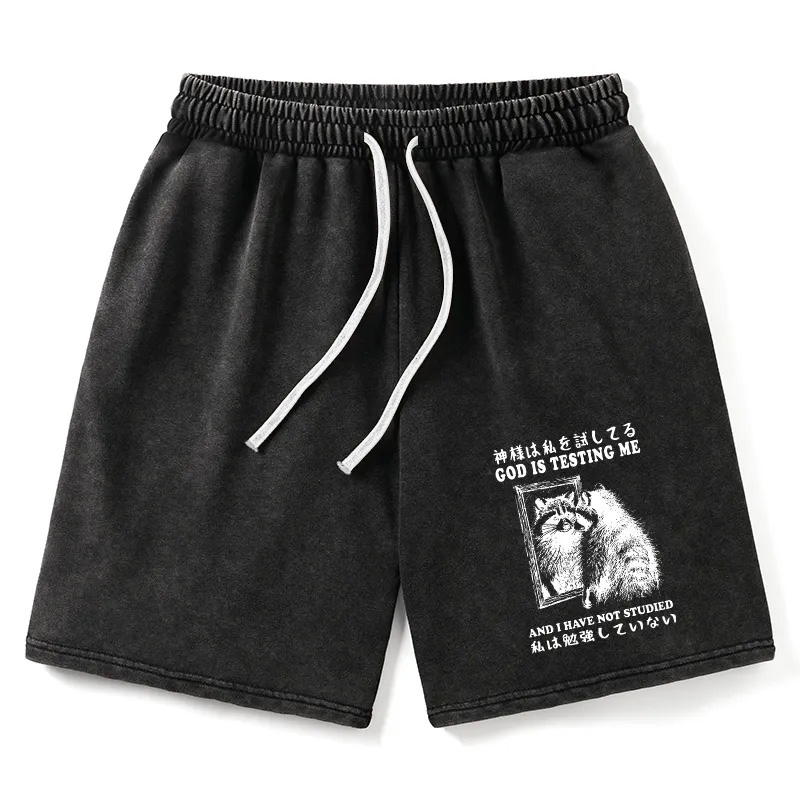 Modecanvas Raccoon Not Studied Washed Shorts