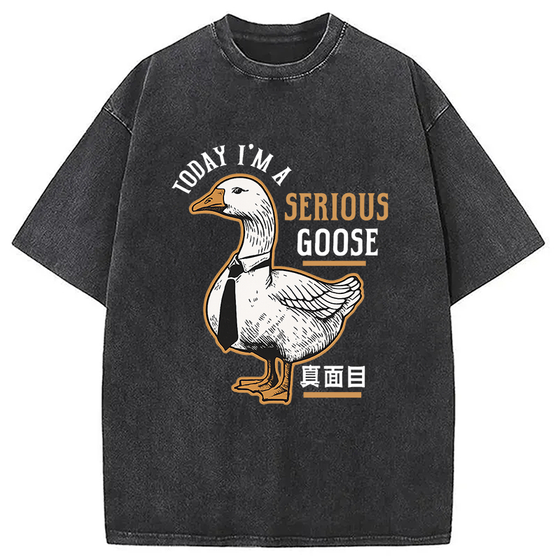 Modecanvas Japanese Serious Goose Washed T-Shirt