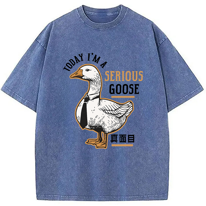 Modecanvas Japanese Serious Goose Washed T-Shirt