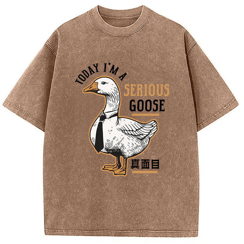 Modecanvas Japanese Serious Goose Washed T-Shirt