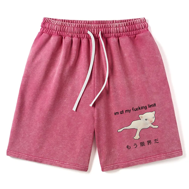 Modecanvas Cat Reaching Its Limit Washed Short