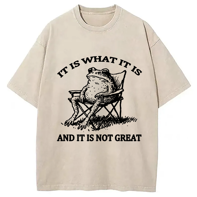 Modecanvas Resting Frog Funny Washed T-Shirt-modecanvas