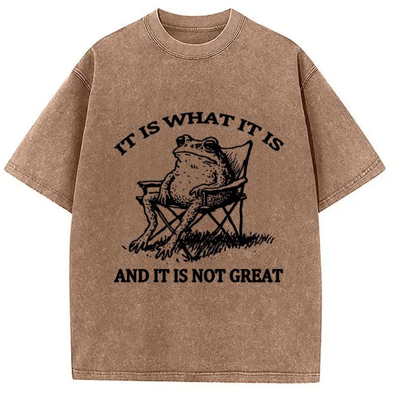 Modecanvas Resting Frog Funny Washed T-Shirt-modecanvas