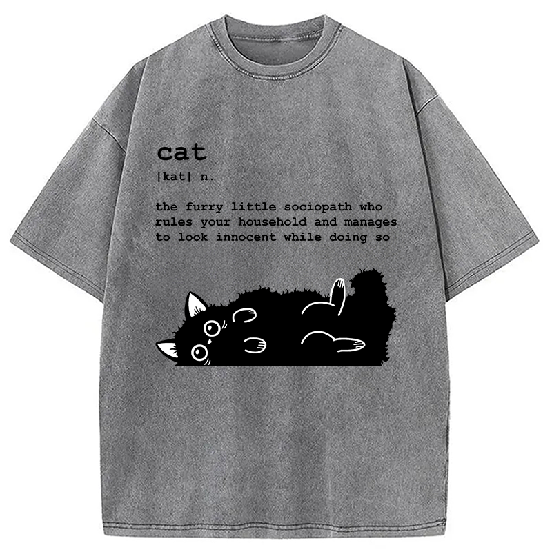 Modecanvas Definition Of Cat Funny Washed T-Shirt