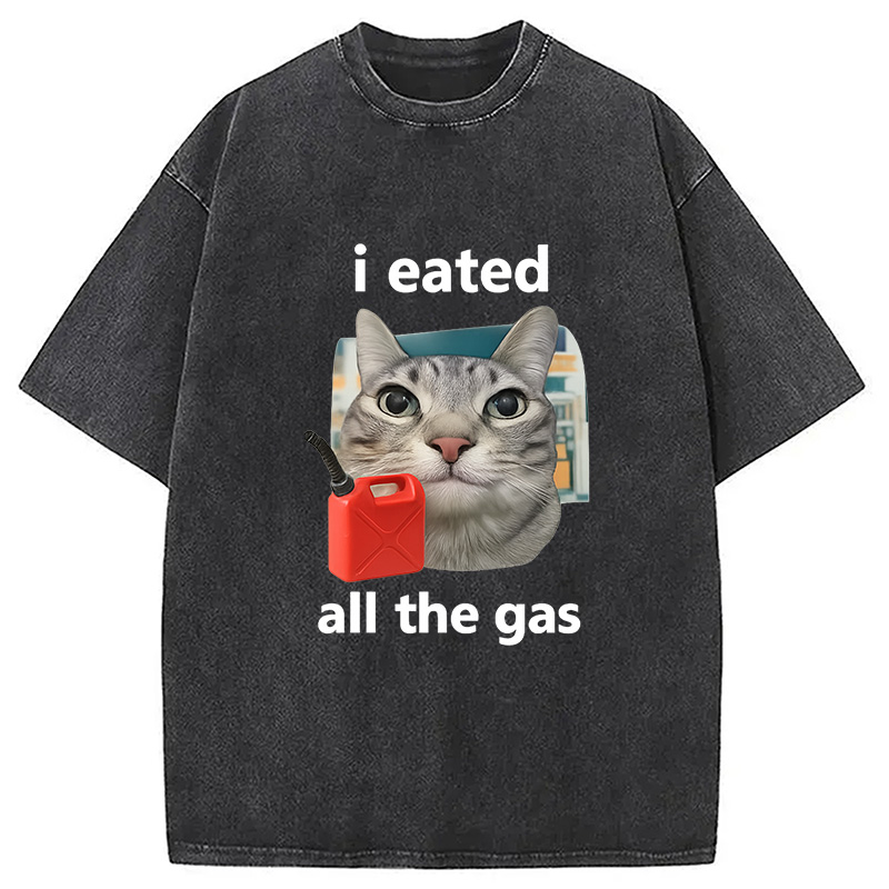 Modecanvas I Eated All The Gas Cat Funny Washed T-Shirt-modecanvas