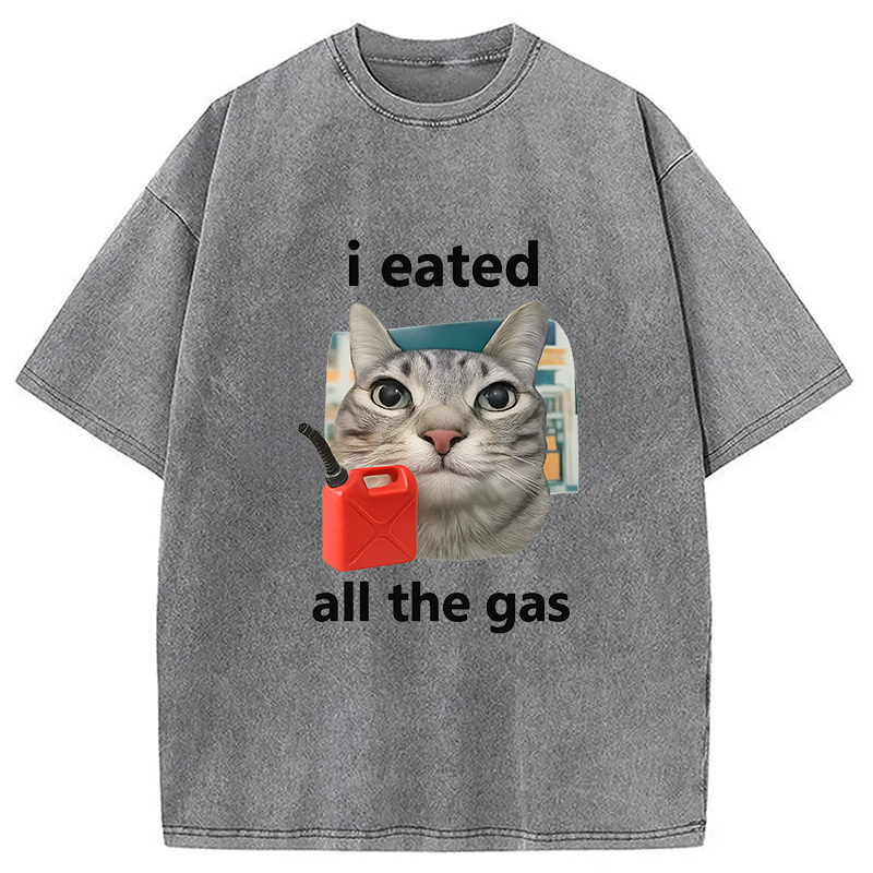 Modecanvas I Eated All The Gas Cat Funny Washed T-Shirt-modecanvas