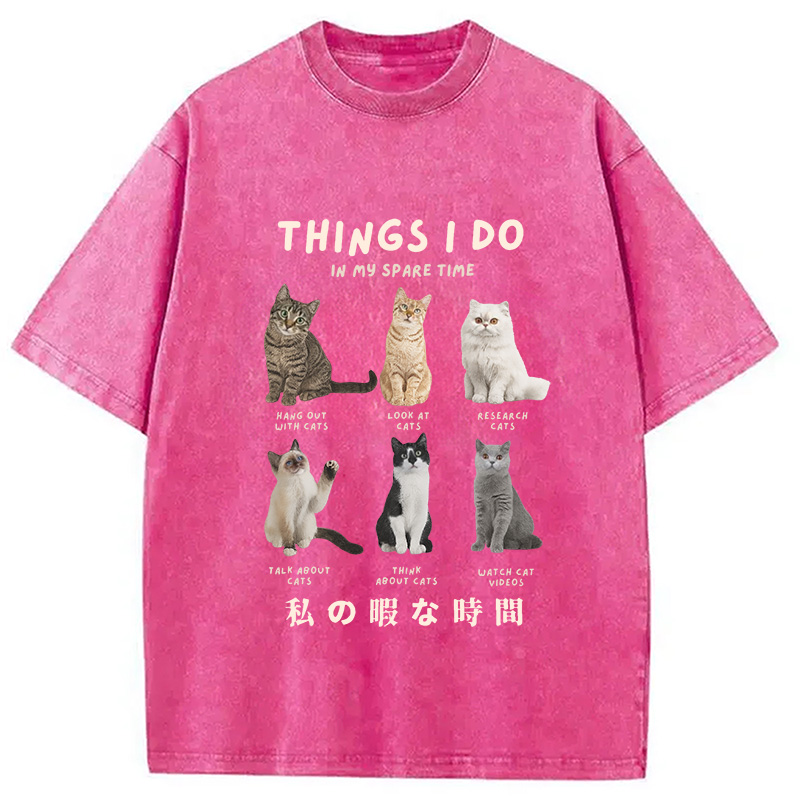 Modecanvas Things I Do In My Spare Time Funny Cat Washed T-Shirt