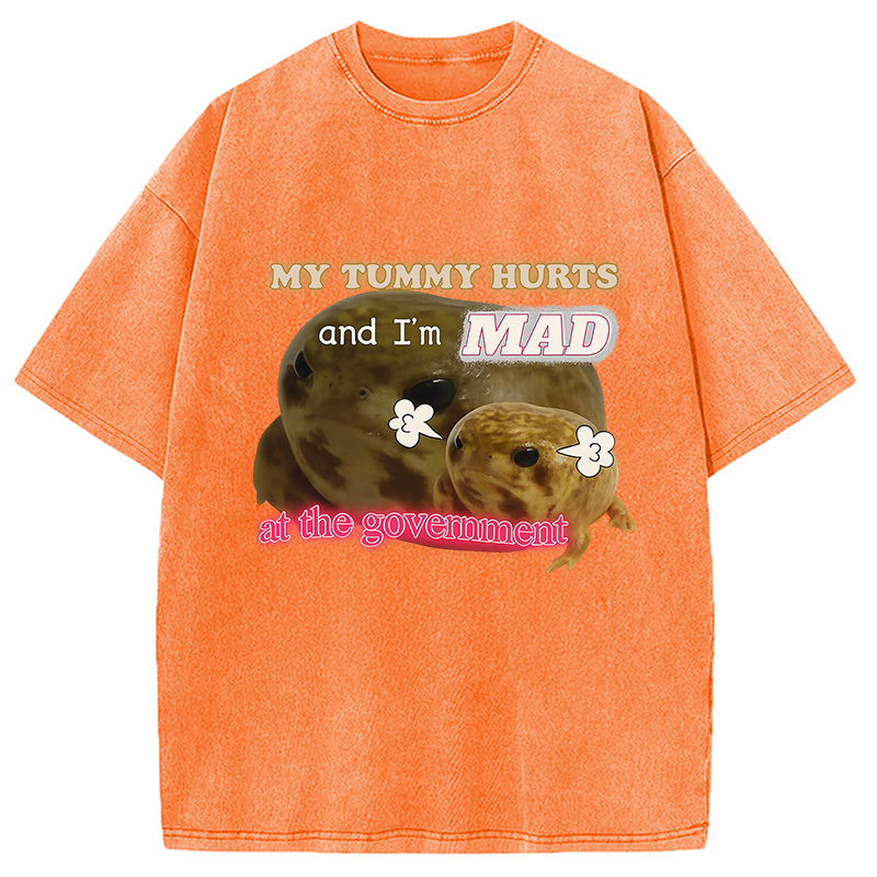 Modecanvas My Tummy Hurts Funny Frog Meme Washed T-Shirt