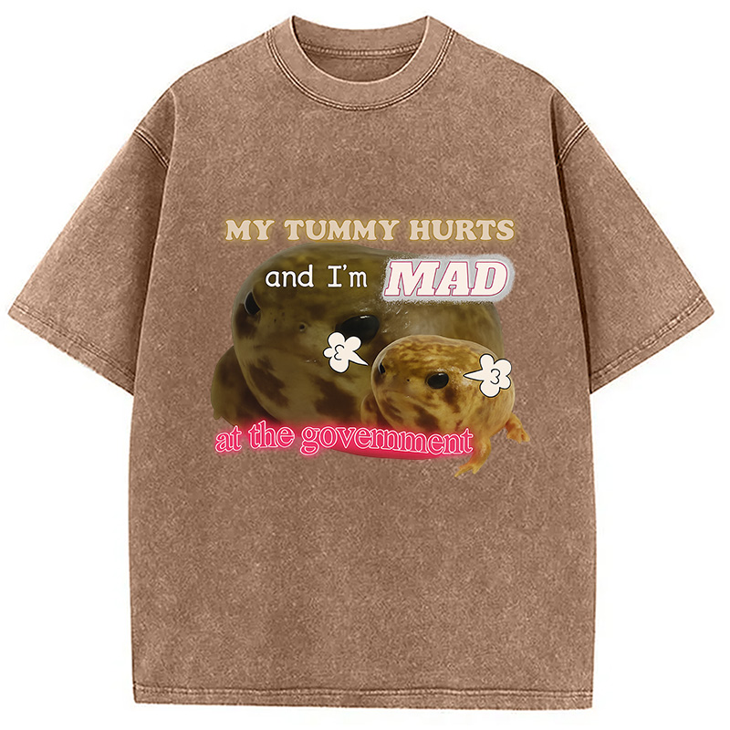 Modecanvas My Tummy Hurts Funny Frog Meme Washed T-Shirt