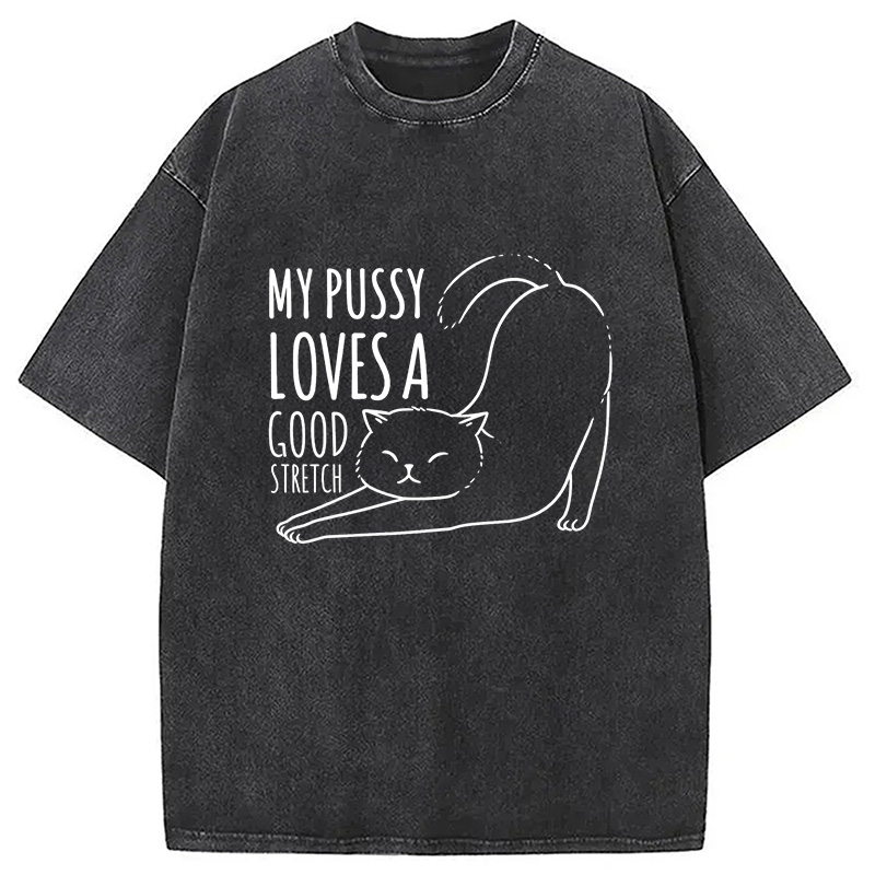 Modecanvas Funny Cat Washed T-Shirt
