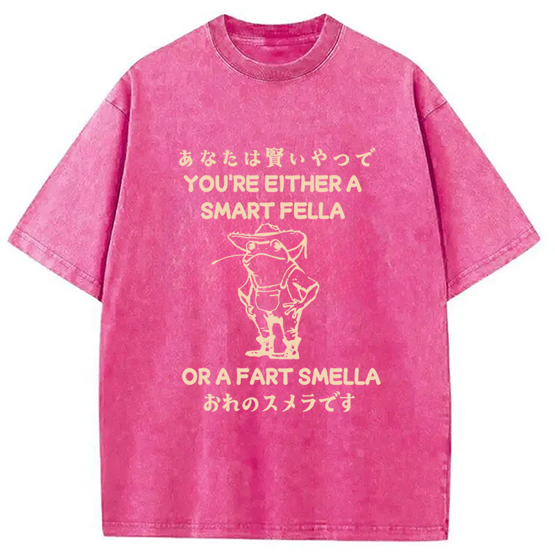 Modecanvas Are You A Smart Fella Or Fart Smella Washed T-Shirt-modecanvas