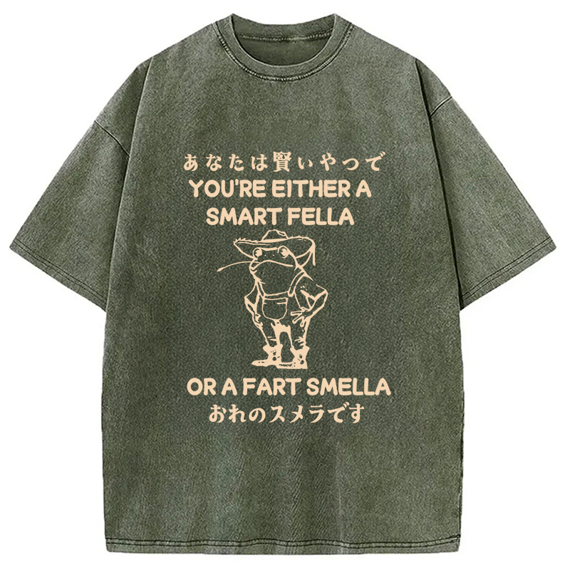 Modecanvas Are You A Smart Fella Or Fart Smella Washed T-Shirt-modecanvas