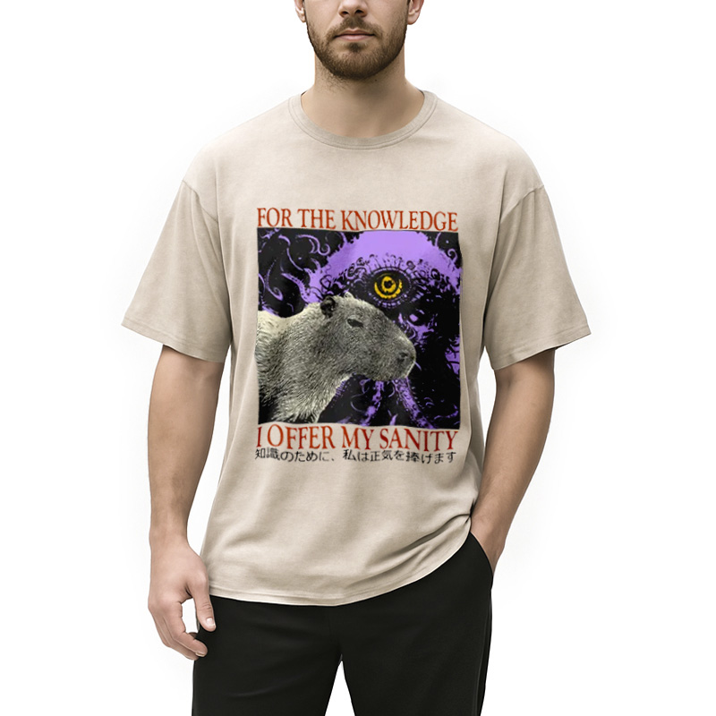 Modecanvas I Offer My Sanity Vintage Japanese Capybara Washed T-Shirt