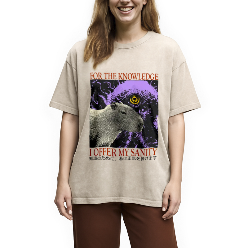 Modecanvas I Offer My Sanity Vintage Japanese Capybara Washed T-Shirt