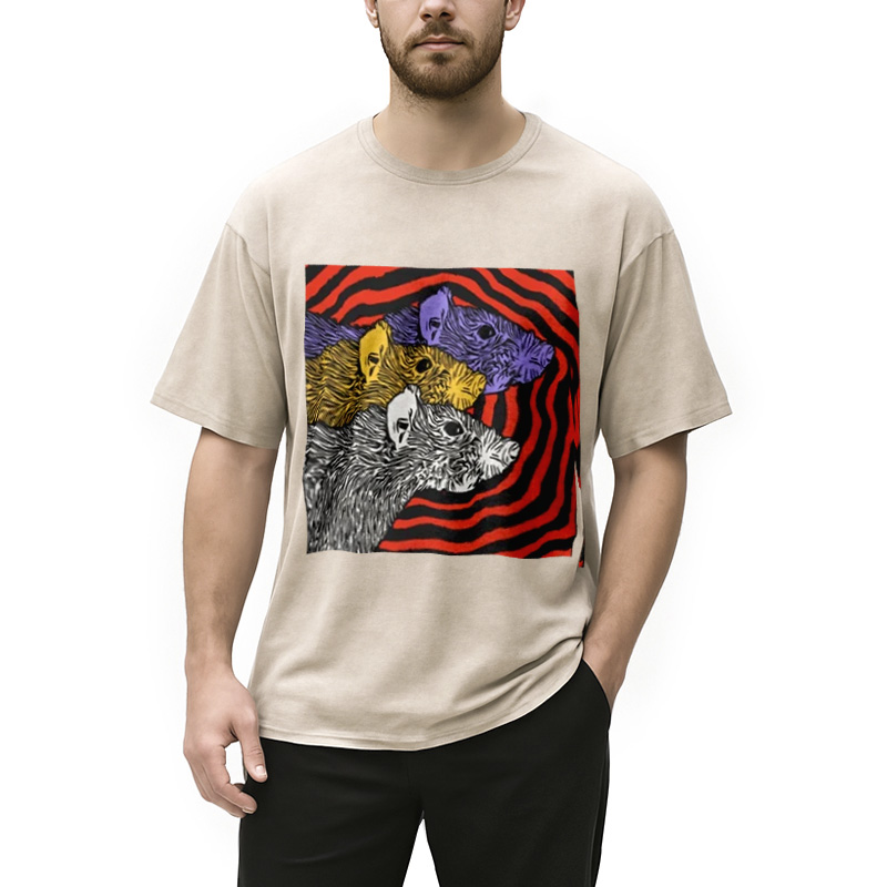 Modecanvas Psychedelic Rat Washed T-Shirt