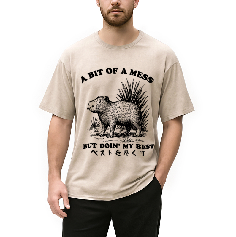 Modecanvas Capybara Doing Its Best Washed T-Shirt