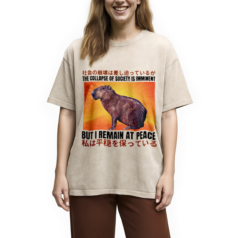 Modecanvas The Collapse of Society is Imminent Washed T-Shirt