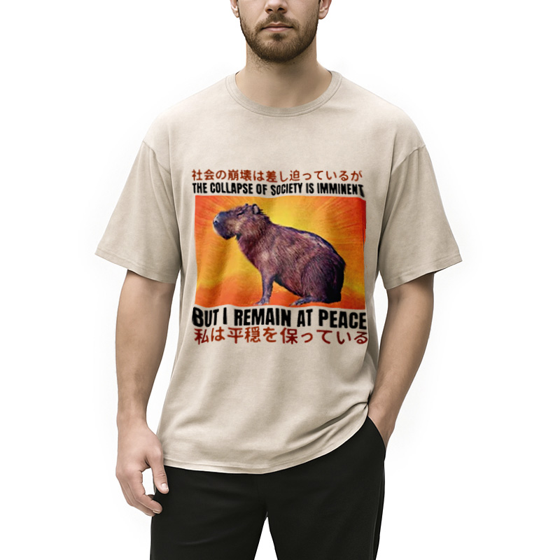 Modecanvas The Collapse of Society is Imminent Washed T-Shirt