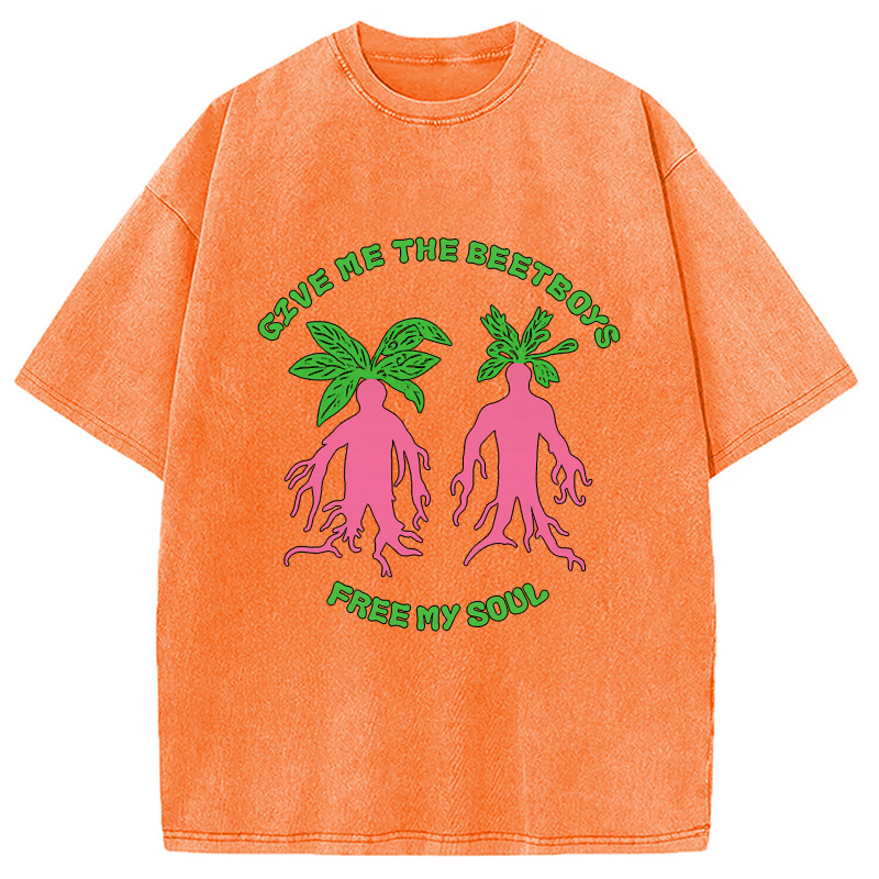 Modecanvas Give Me The Beetboys Washed T-Shirt