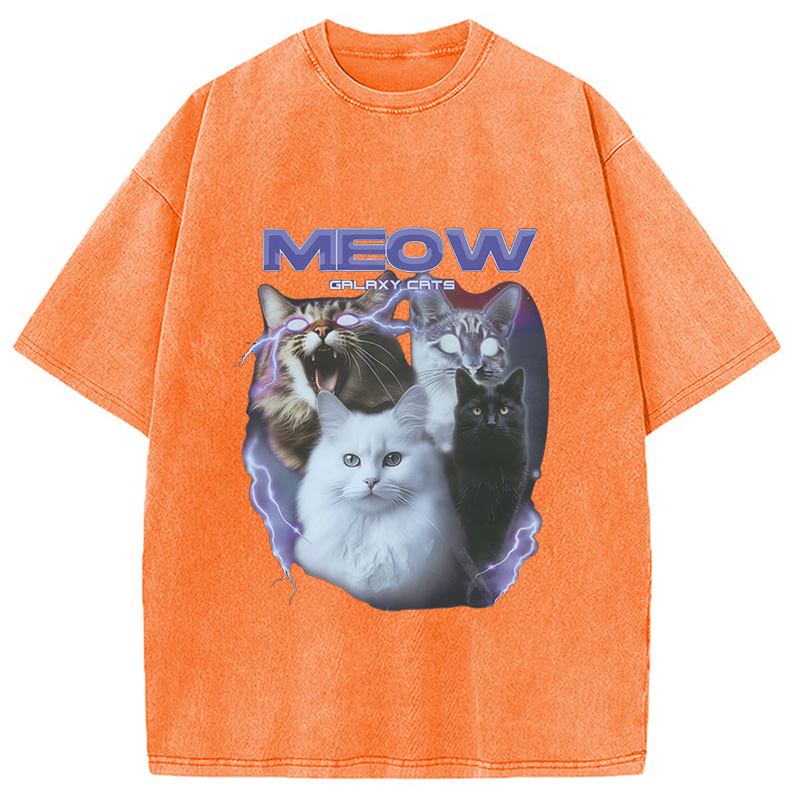 Modecanvas Neow Cat Meme Washed T-Shirt