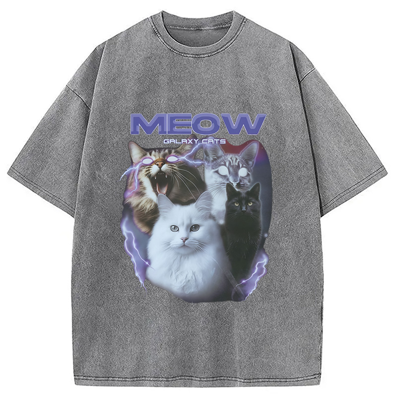 Modecanvas Neow Cat Meme Washed T-Shirt