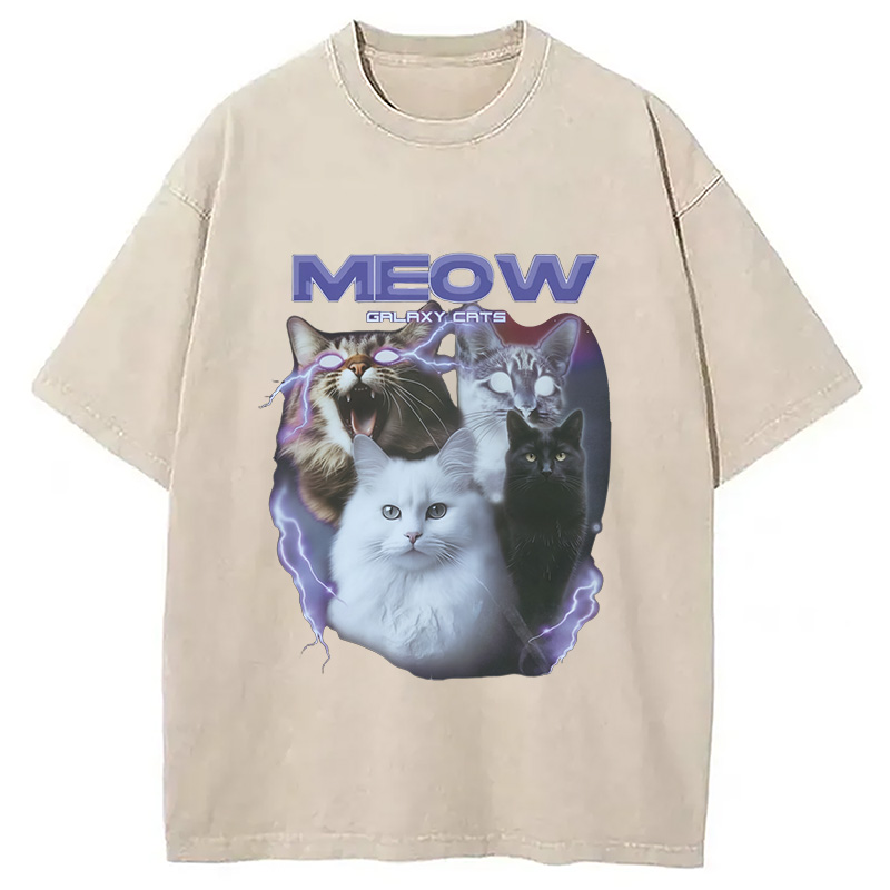 Modecanvas Neow Cat Meme Washed T-Shirt