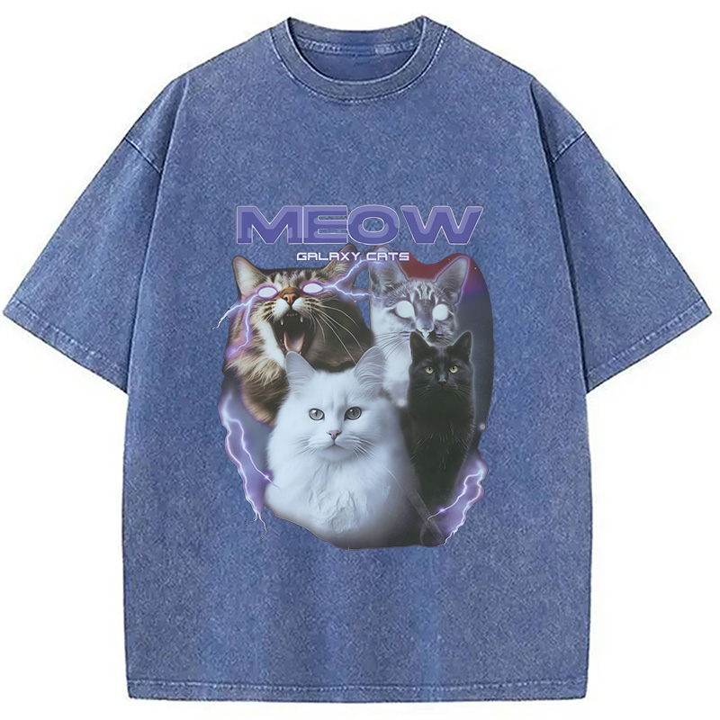 Modecanvas Neow Cat Meme Washed T-Shirt