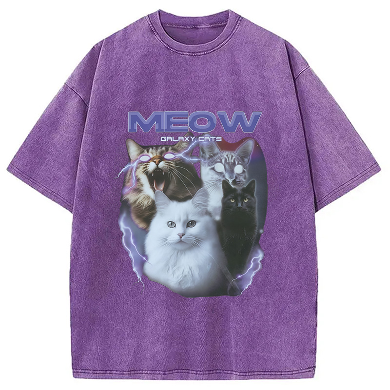 Modecanvas Neow Cat Meme Washed T-Shirt