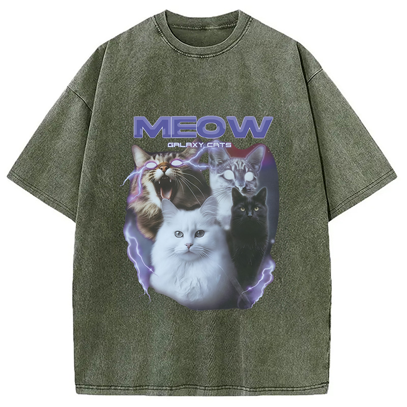 Modecanvas Neow Cat Meme Washed T-Shirt
