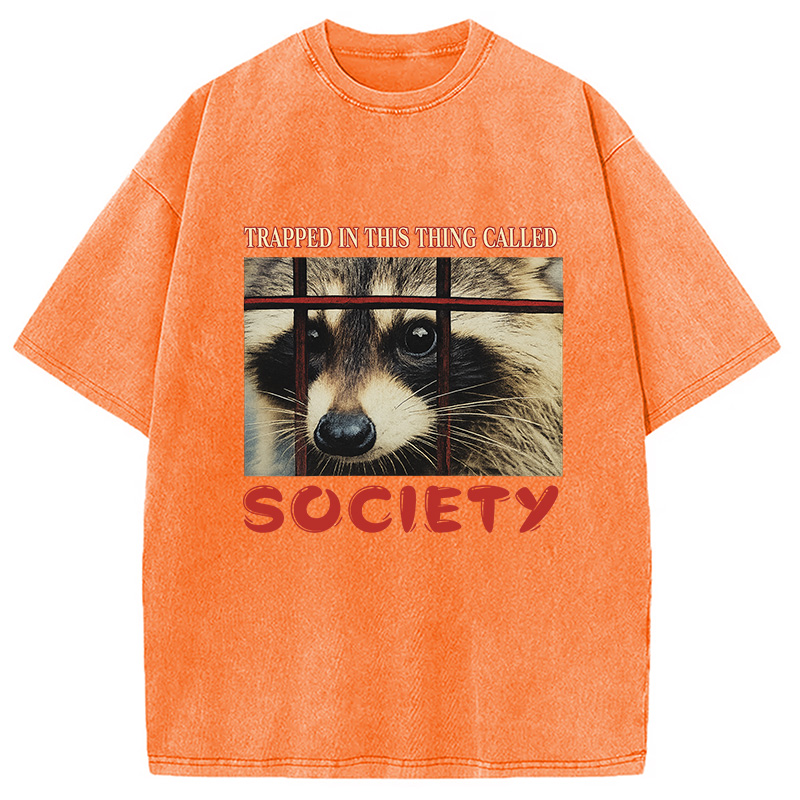 Modecanvas Society Raccoon Washed T-Shirt