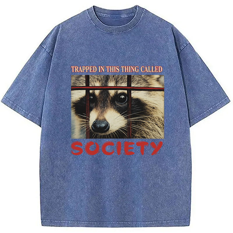 Modecanvas Society Raccoon Washed T-Shirt